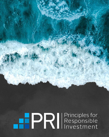 PRI’s ESG Research Report of the Year