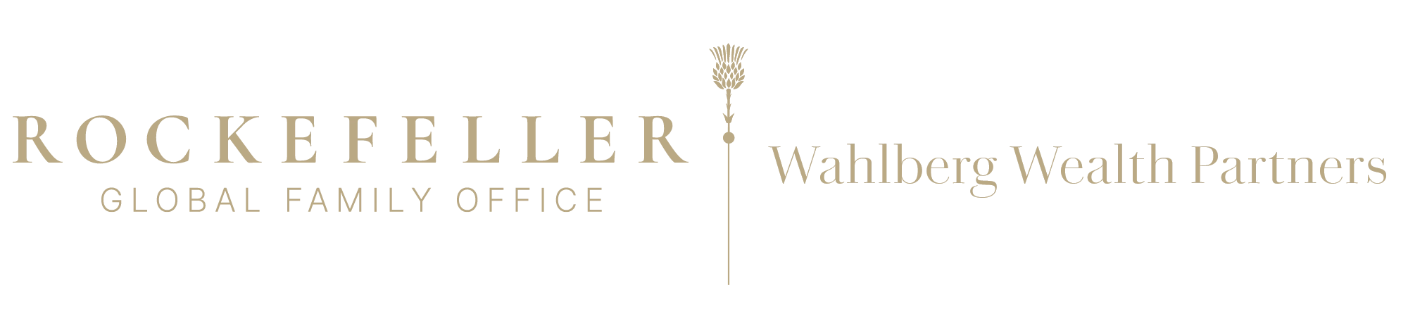 Wahlberg Wealth Partners